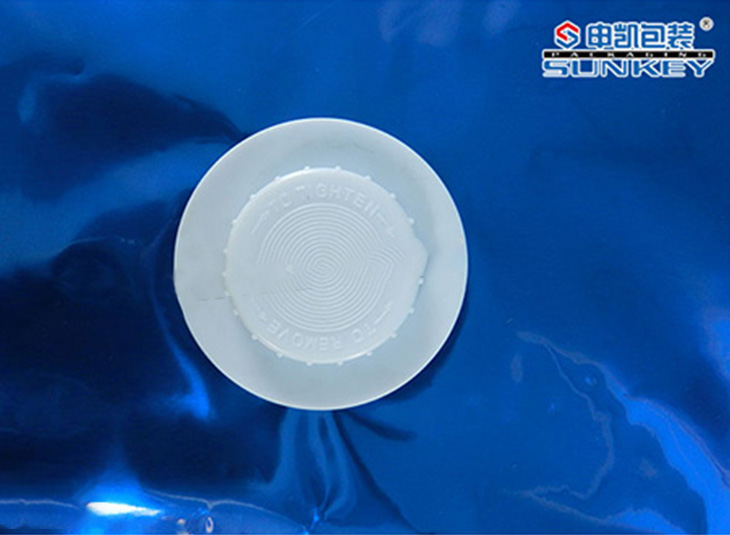 帶閥（fá）彩印包裝