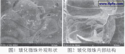 玻（bō）化微（wēi）珠外觀形狀（zhuàng）及內部（bù）結構