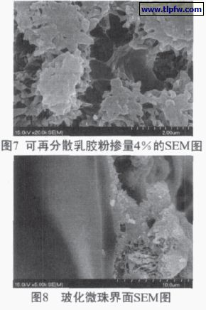 可再分散乳膠粉摻量百（bǎi）分之4的SEM圖（tú）